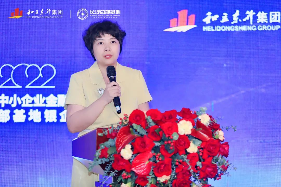 雨花经开区中小企业金融普惠论坛暨长沙总部基地银企对接会成功进行(图10)