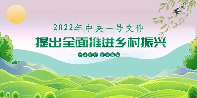 服务村落振兴，，老哥网物流“加把力”(图3)