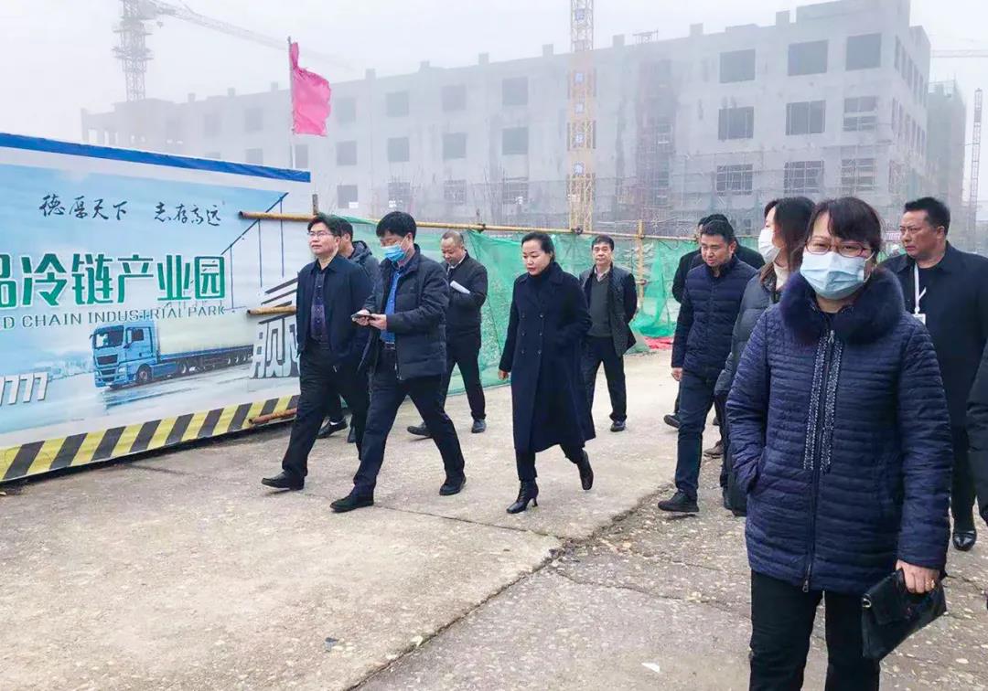 省市发改委辅导调查老哥网恒美食品冷链产业园项目(图1)