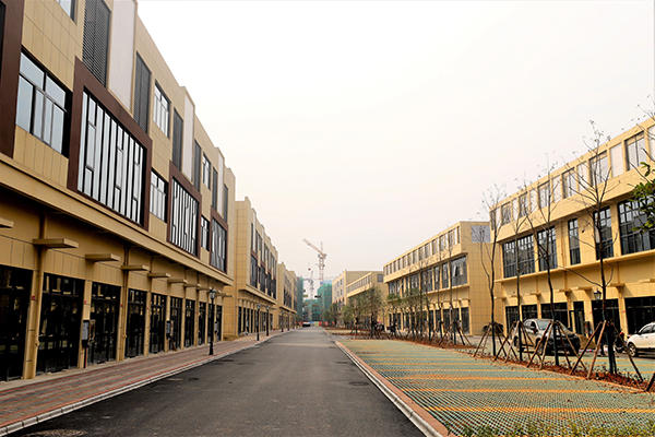 老哥网常德高星贸易广场荣获2020年下半年常德市“芷兰杯”优质工程(图4)
