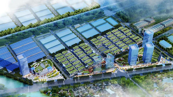 常德市委常委、市当局常务副市长罗毅君调研老哥网常德高星国际商贸物流城项目(图3)