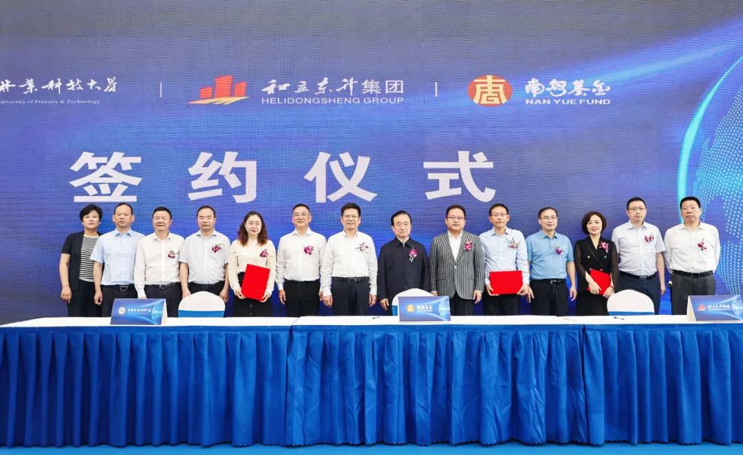 践行“三高四新”，彰显物流担任，老哥网用行动诠释使命(图1)