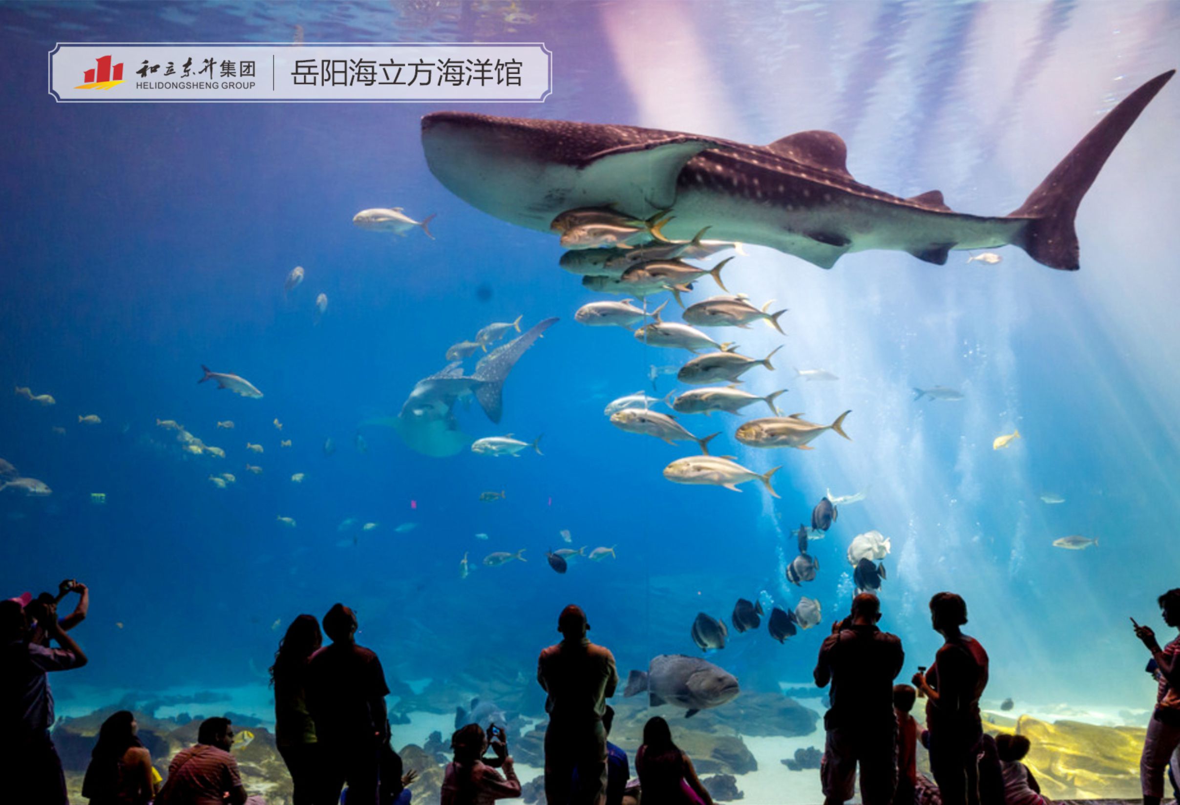 岳阳海立方海洋馆(图1) 岳阳海立方海洋馆(图1)